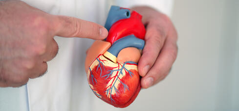 Aortenchirurgie im GLKN (Bild: GLKN)