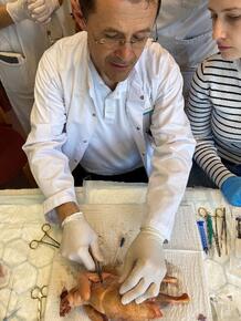 Raul Depner demonstriert die korrekte Annaht mittels „3-Punkt-Umstechung“ und „Schleifknoten“-Technik.