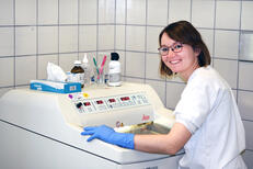 Schnellschnittuntersuchungen