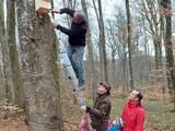 HJW: Nistkästen für die Heimat der Waldtrolle